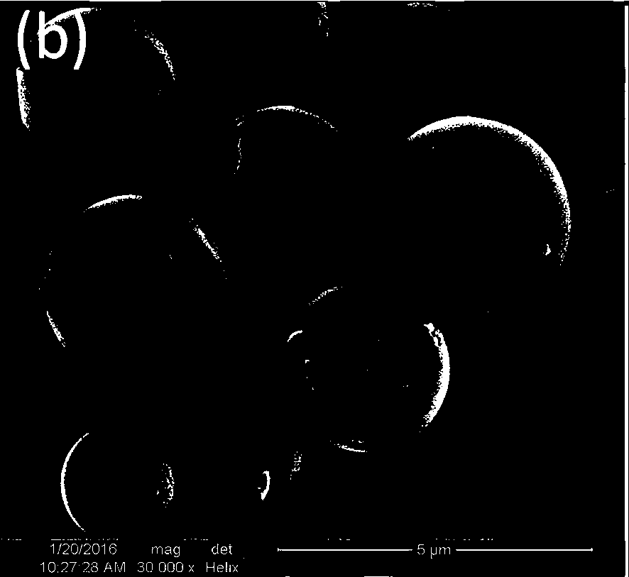 A kind of self-luminous fluorescent microsphere and preparation method thereof