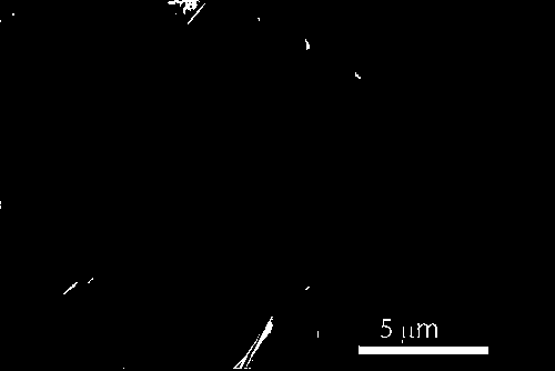 Method for preparing sheet structured Cu nano-crystalline under room temperature condition