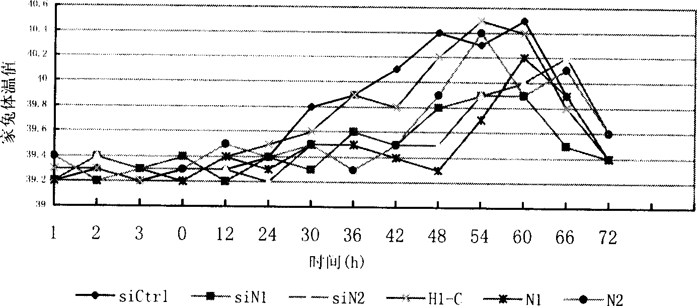 RNA interference method for specificly and high effectively treating CSFV infection and biological formulation