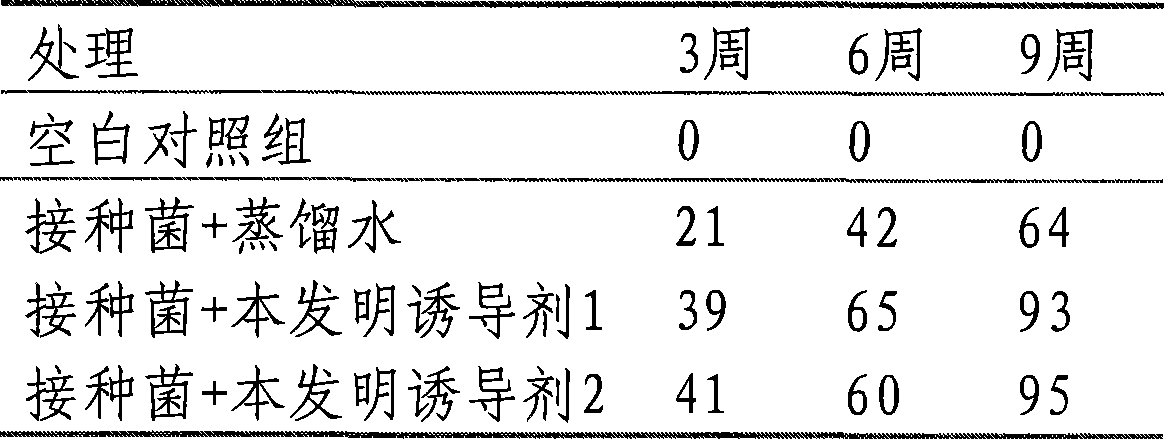 Revulsant composition for promoting formation of mycorrhizas homobium of orchid and preparation method thereof