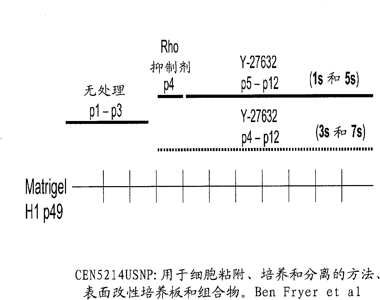 Methods, surface modified plates and compositions for cell attachment, cultivation and detachment