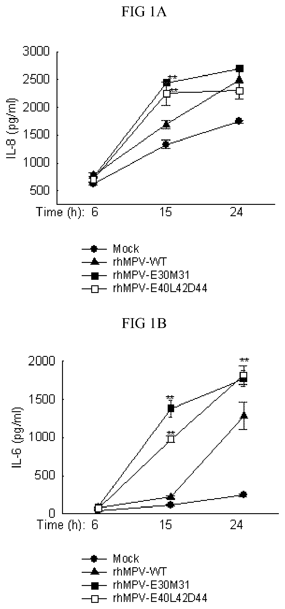 Live attenuated recombinant HMPV with mutations in PDZ motifs of M2-2 protein, vaccine containing and use thereof