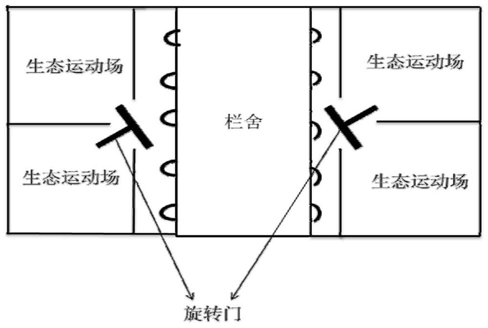 A breeding method capable of improving the quality of Wuzhishan pork