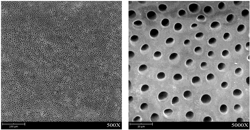 Material for generating calcium phytate in situ to seal dentin lumen and application thereof