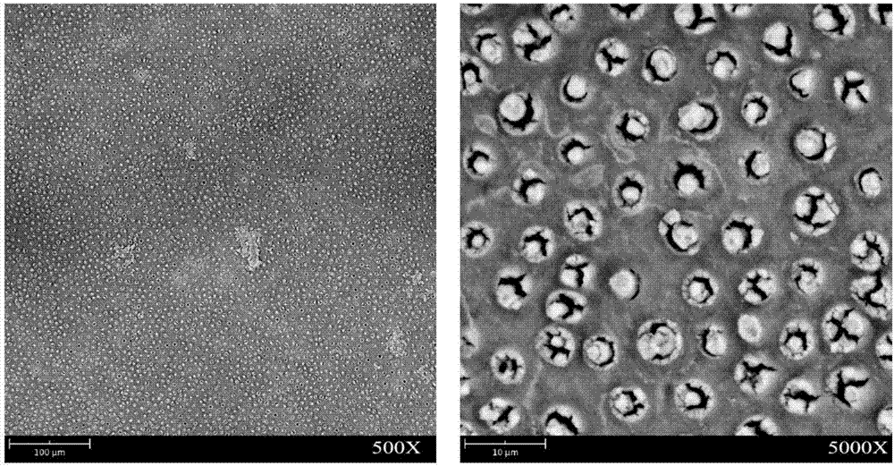 Material for generating calcium phytate in situ to seal dentin lumen and application thereof