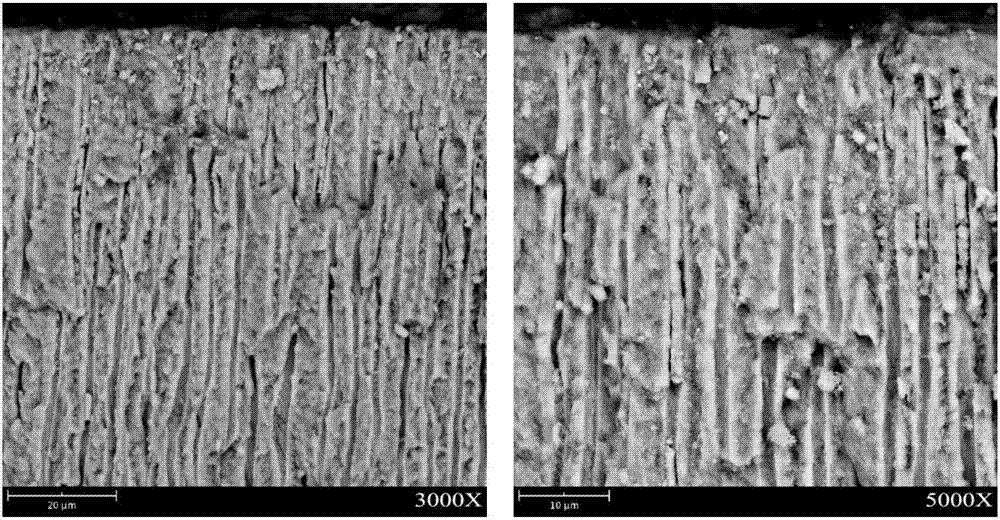 Material for generating calcium phytate in situ to seal dentin lumen and application thereof