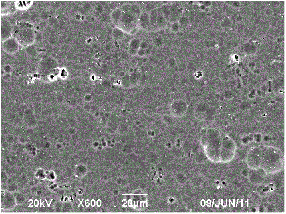 Silane/rare-earth composite protective film on aluminum or aluminum alloy surface and preparation method thereof