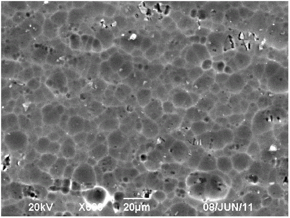 Silane/rare-earth composite protective film on aluminum or aluminum alloy surface and preparation method thereof