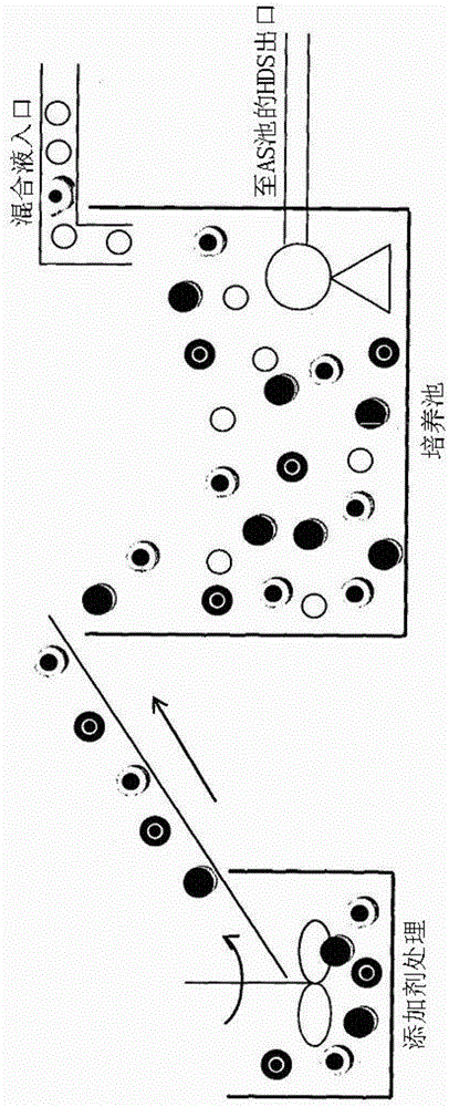 Wastewater Treatment Using Natural Solid Additives in Activated Sludge Process