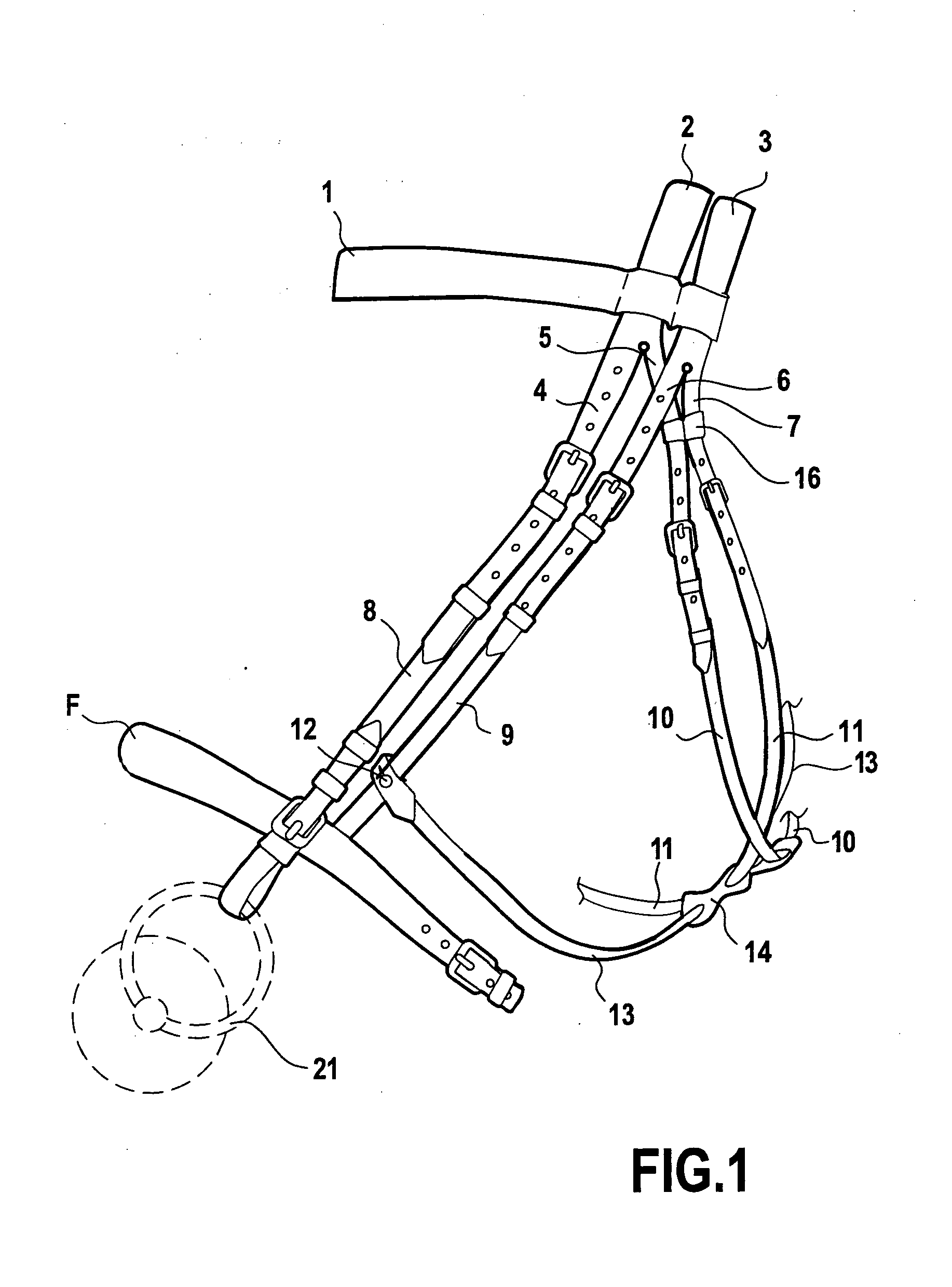 Head Harness for a Horse