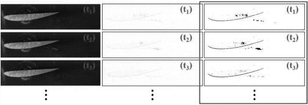 Unsteady cavitation flow field visualization test data processing method