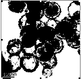 Preparation method of polyacrylic ester/hollow silicon dioxide nanometer composite leather finishing agent