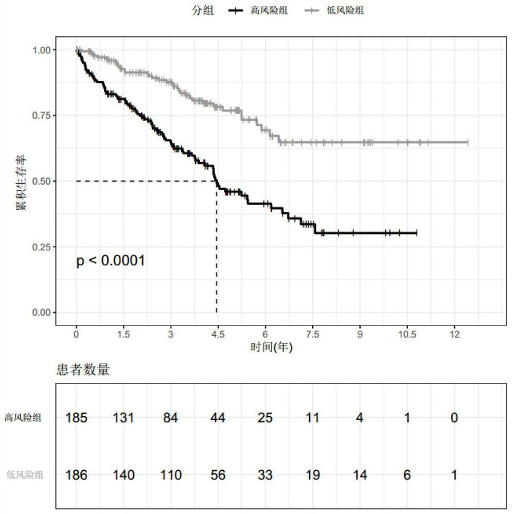 Renal cell carcinoma survival risk biomarker group, diagnostic product and application