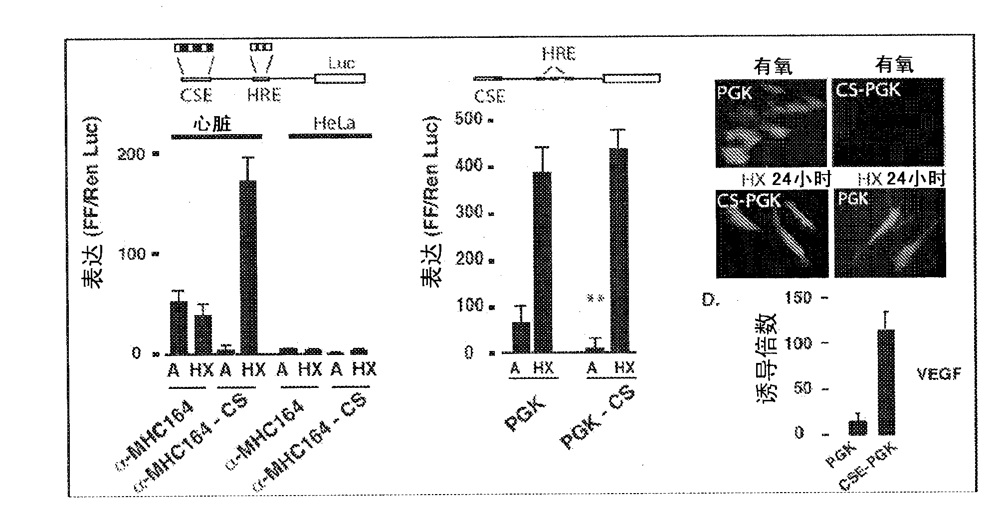 Hypoxia regulated conditionally silenced AAV expressing angiogenic inducers