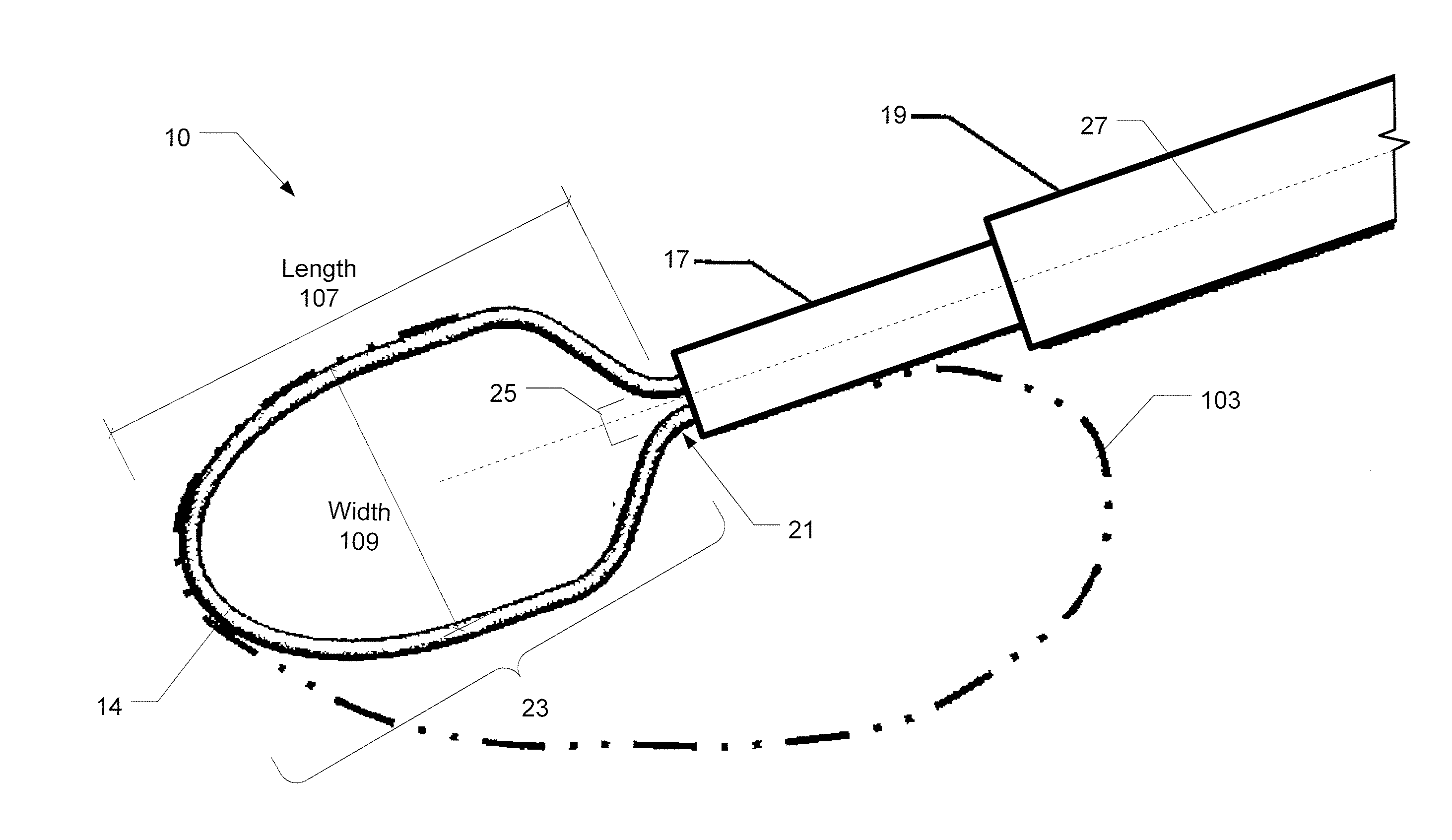 Capsule Polishing Device and Method For Capsule Polishing