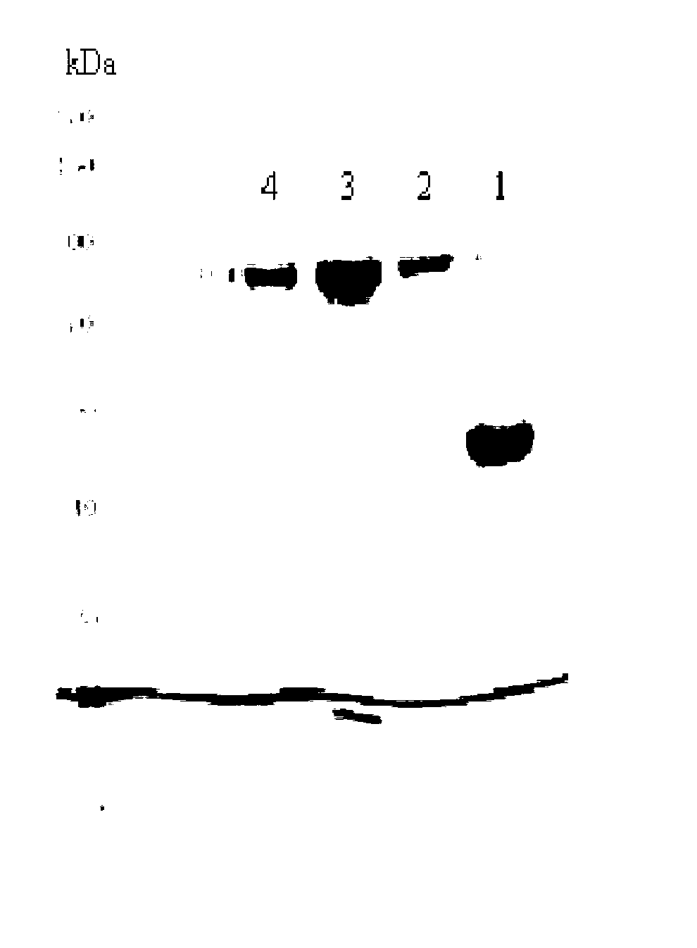 Method for extracting ovotransferrin from egg white