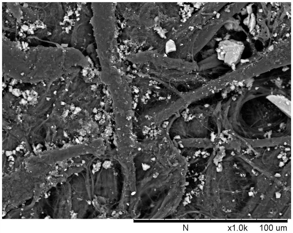 Organic framework material for evaluating jaundice level of human body as well as preparation method and application thereof