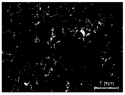 Preparation method of porous NiTi alloy