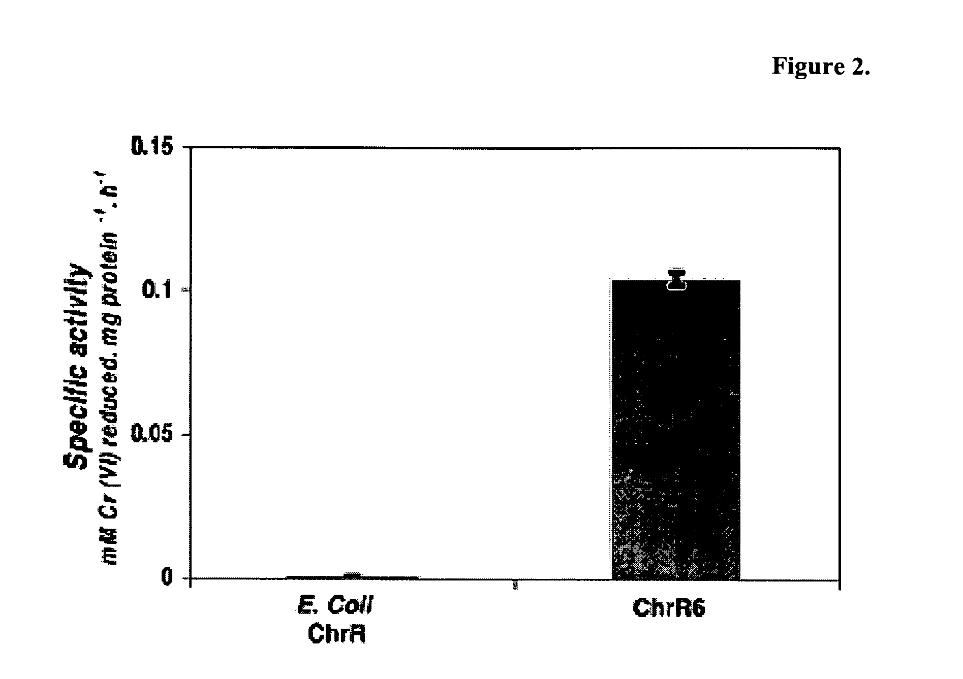 Nitroreductase enzymes for bioremediation