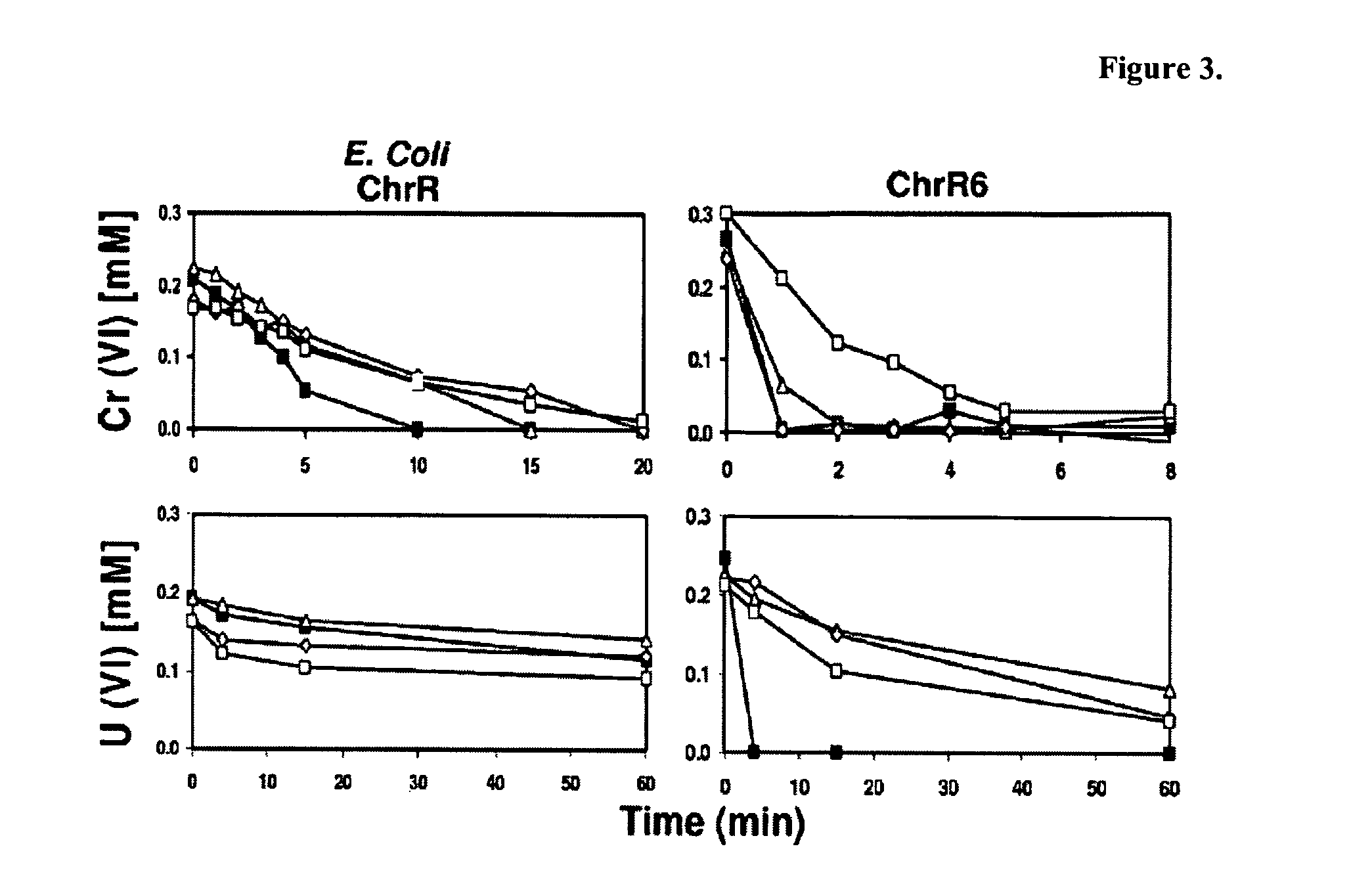 Nitroreductase enzymes for bioremediation