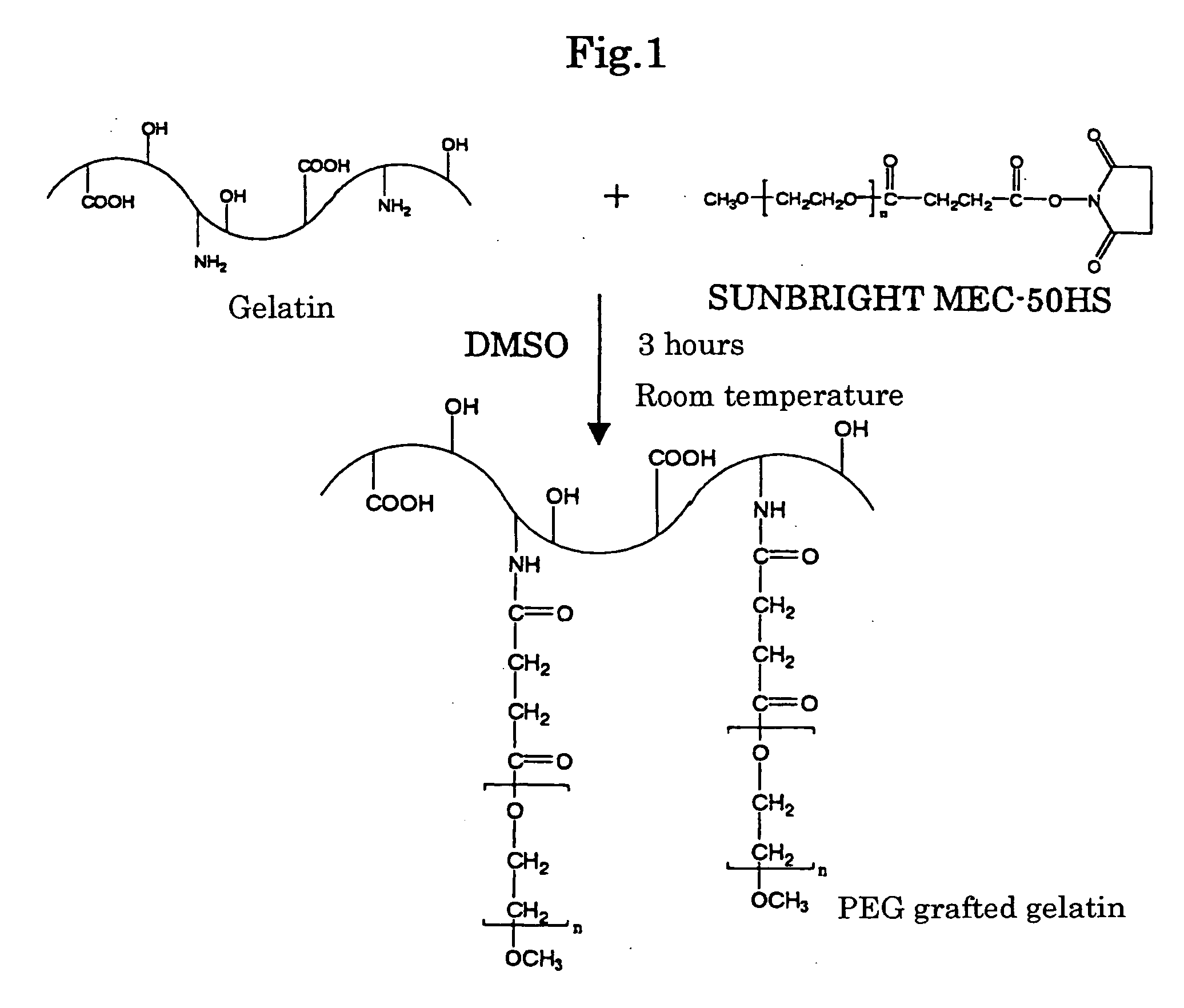 Gelatin derivatives and high-molecular micelle comprising the derivatives