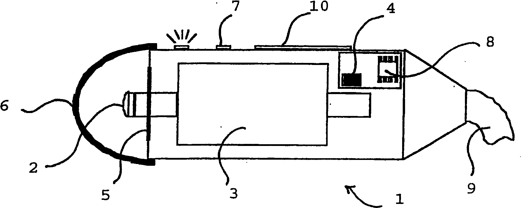 Device and method for measuring the elasticity of a human or animal organ