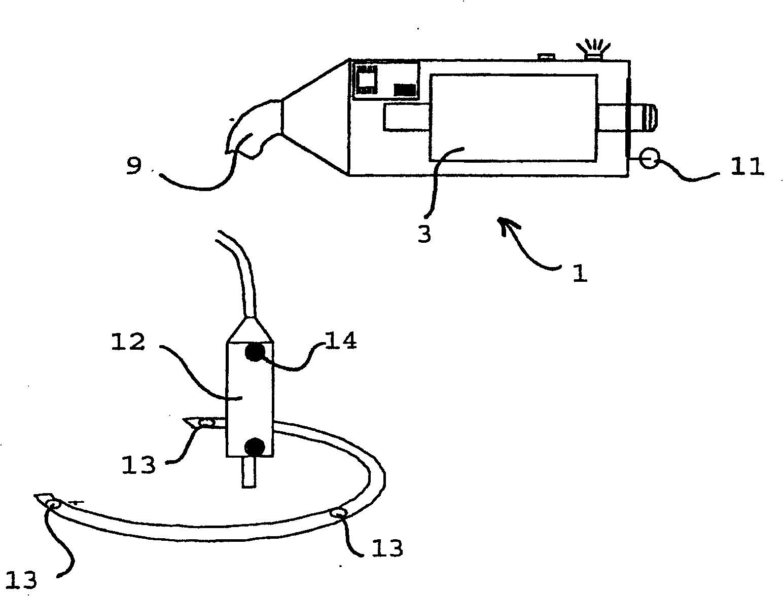 Device and method for measuring the elasticity of a human or animal organ