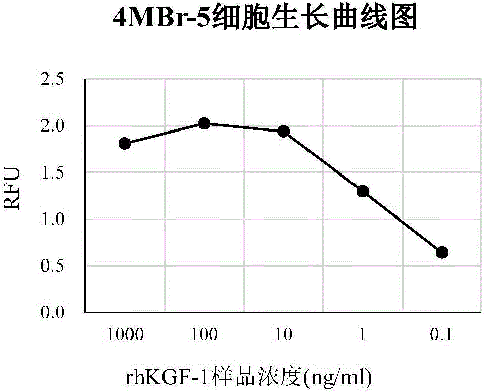 Method for detecting biological activity of recombinant human keratinocyte growth factors