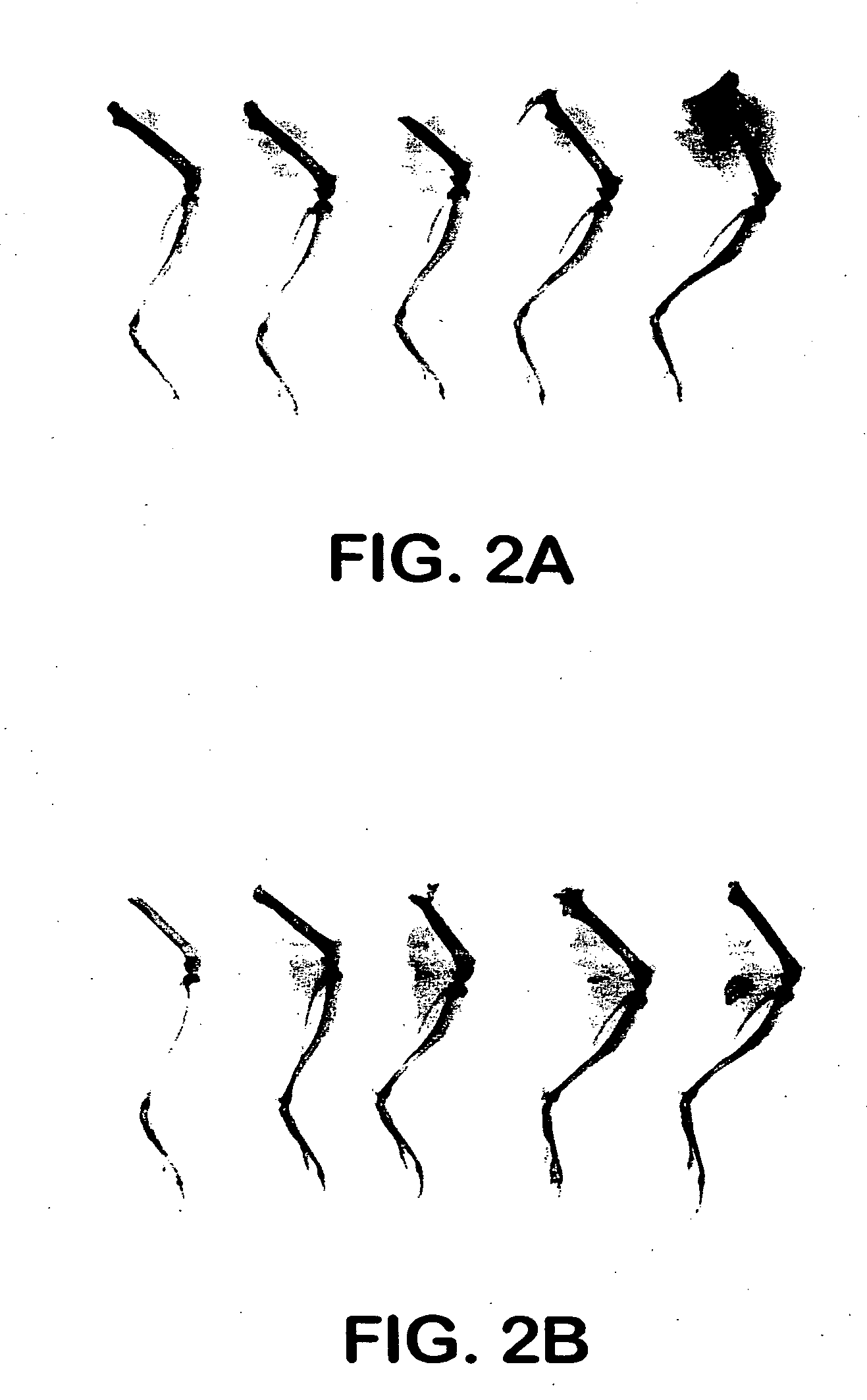 Cartilage/bone inducing materials for preparation