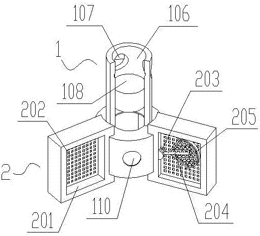 Cold-water brewing device and method for solid brewed food used for microwave oven