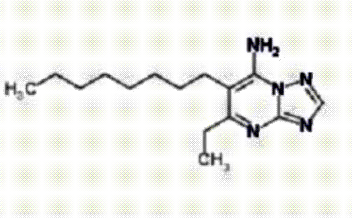 Ultra-low volume liquid containing ametoctradin and triazole bactericide composition as well as preparation method and application thereof