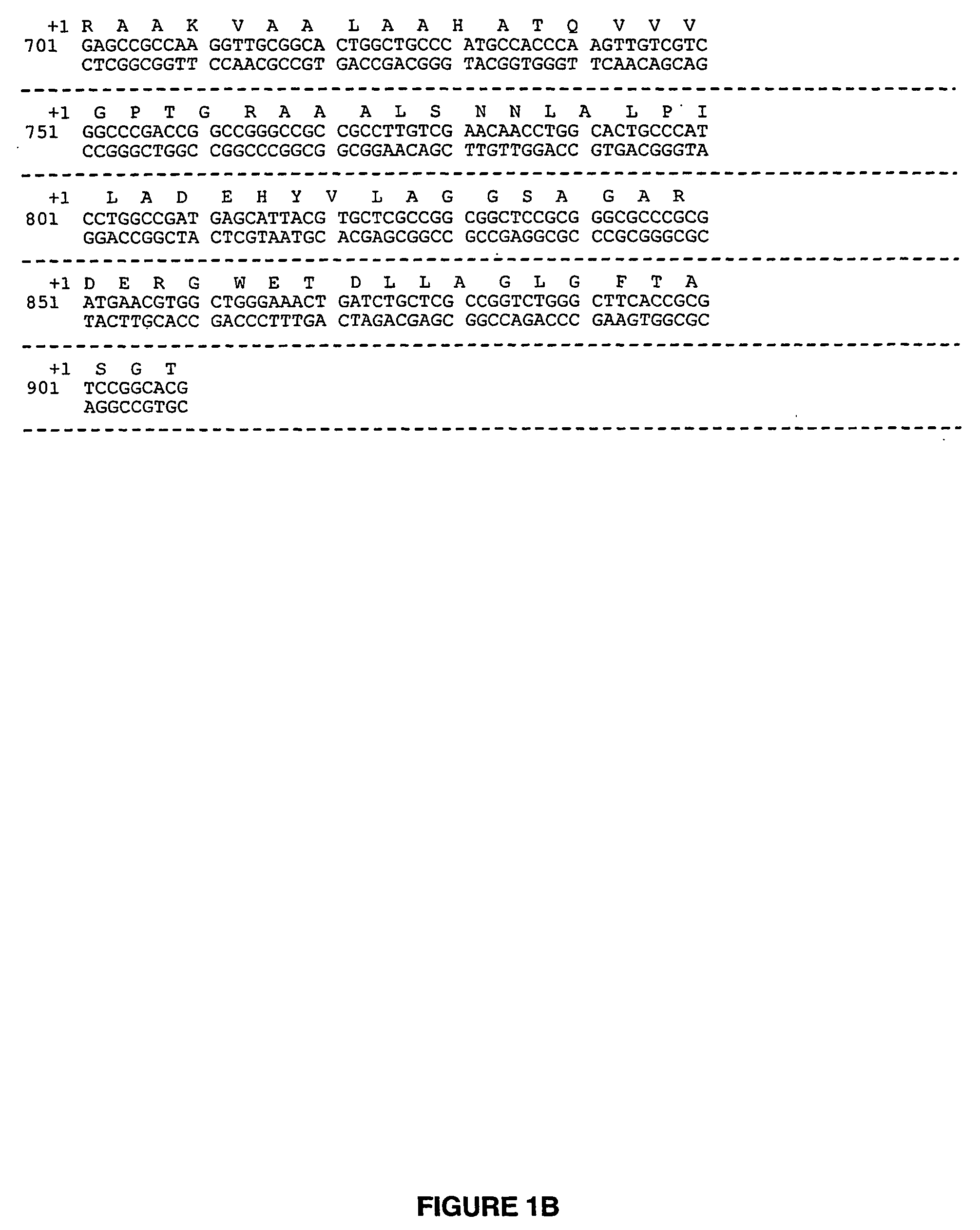 Acetyl glucosaminyl inositol deacetylase, a mycothiol biosynthetic enzyme, and methods of use