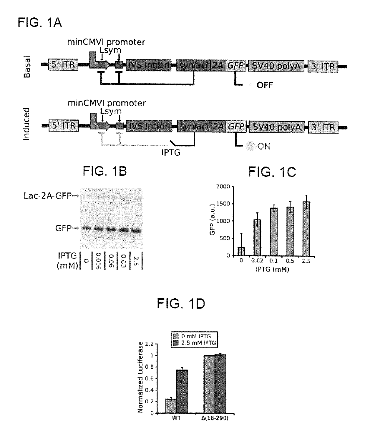 Compositions and methods for self-regulated inducible gene expression