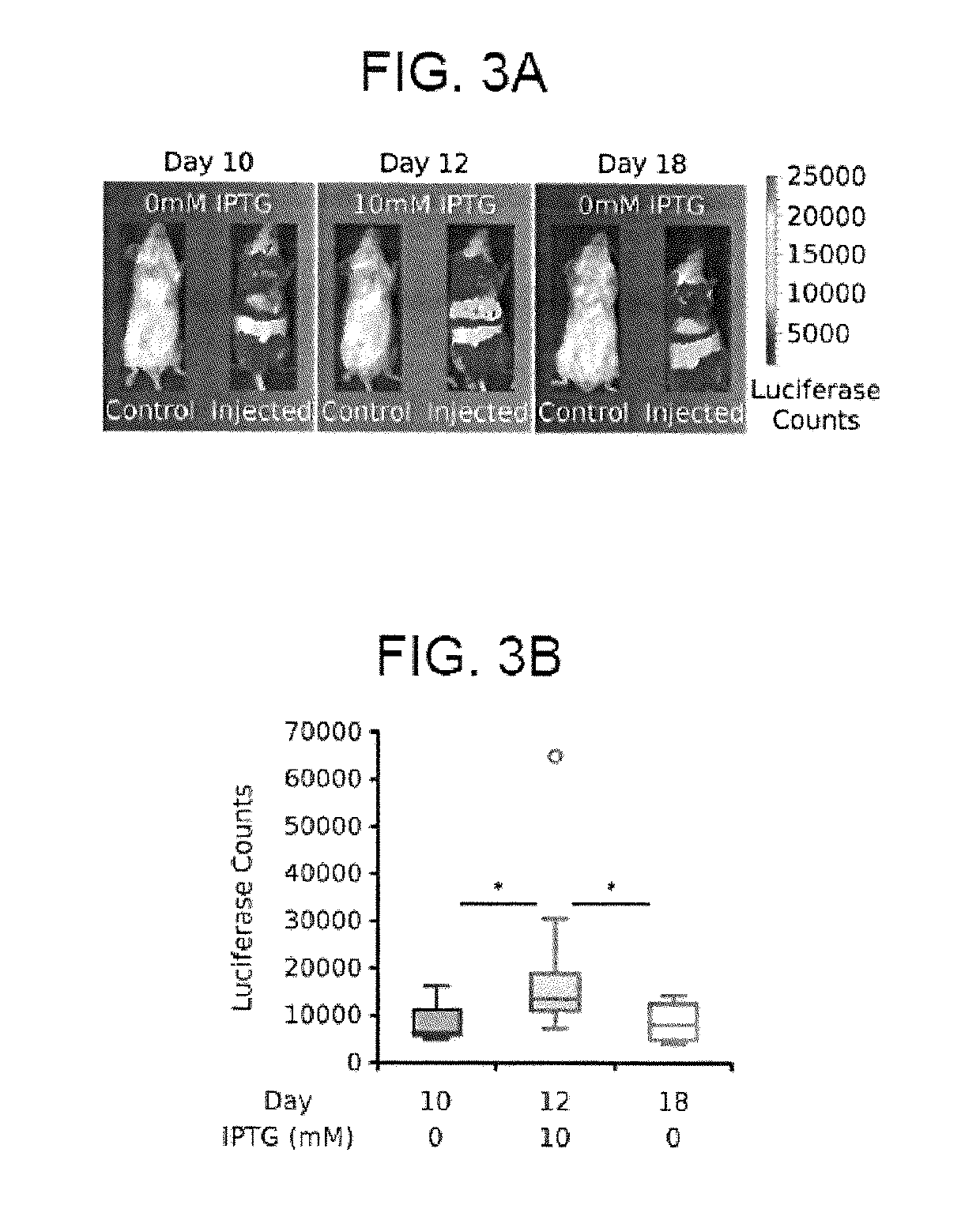 Compositions and methods for self-regulated inducible gene expression