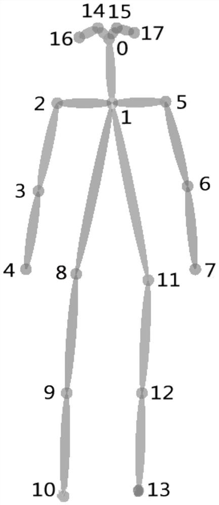 Human body action recognition method based on skeleton key point detection