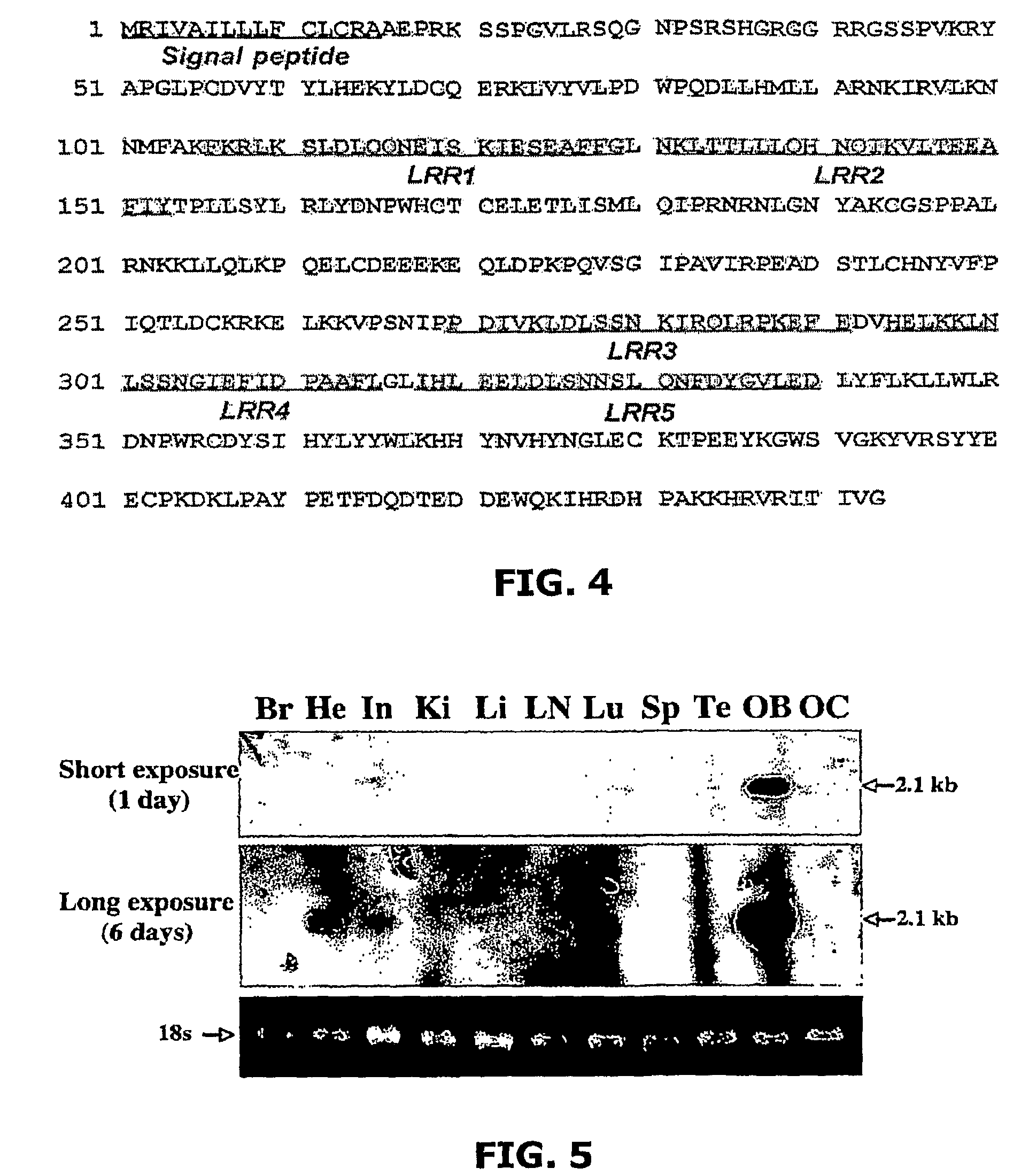 Methods for regulating osteoclast differentiation and bone resorption using LRRc17