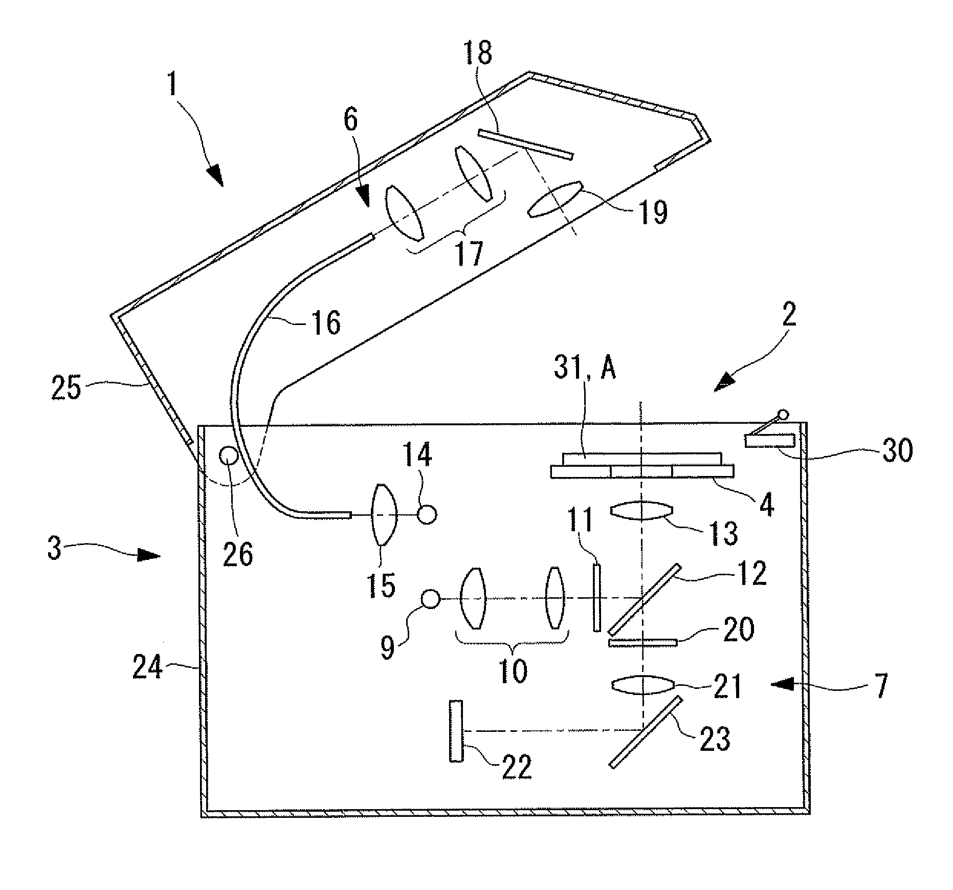 Optical microscope apparatus