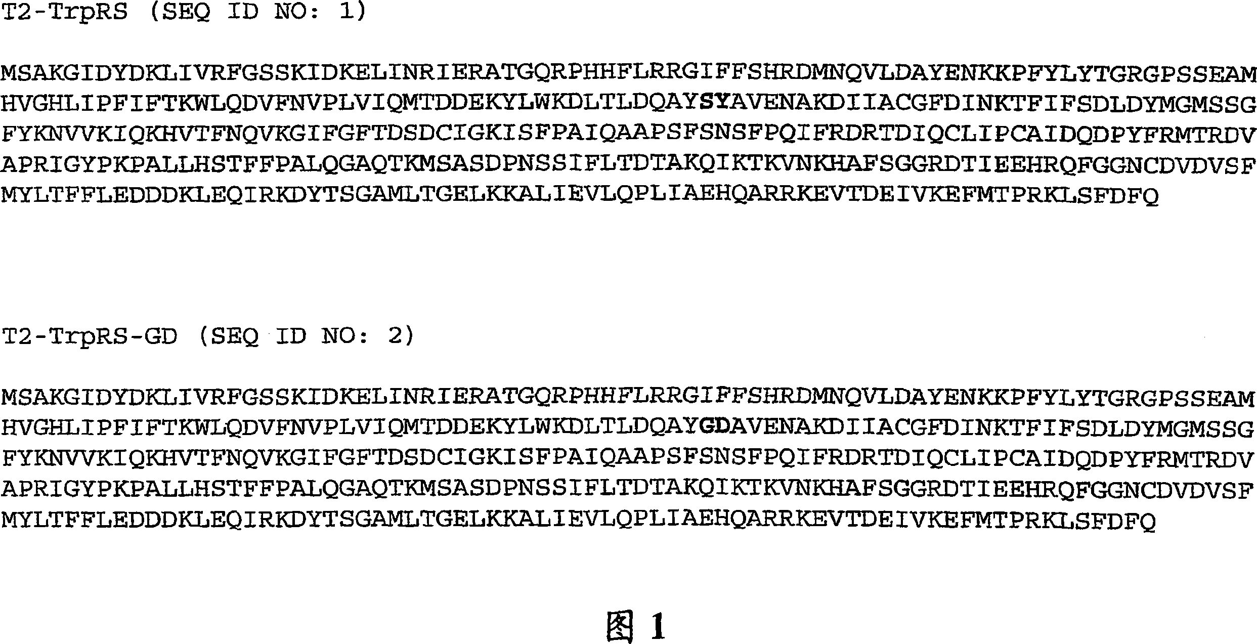 Compositions and methods for treatment of neovascular diseases