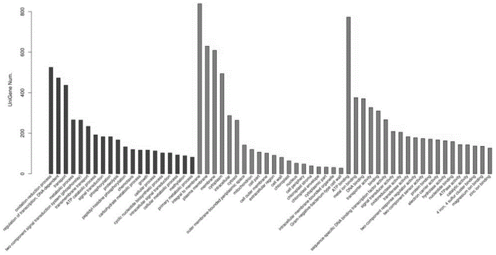 Application of Chinese herbal medicament to delaying of bacterial drug resistance