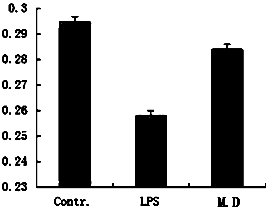 Alpinia zerumbet volatile oil dropping pill and preparation method thereof