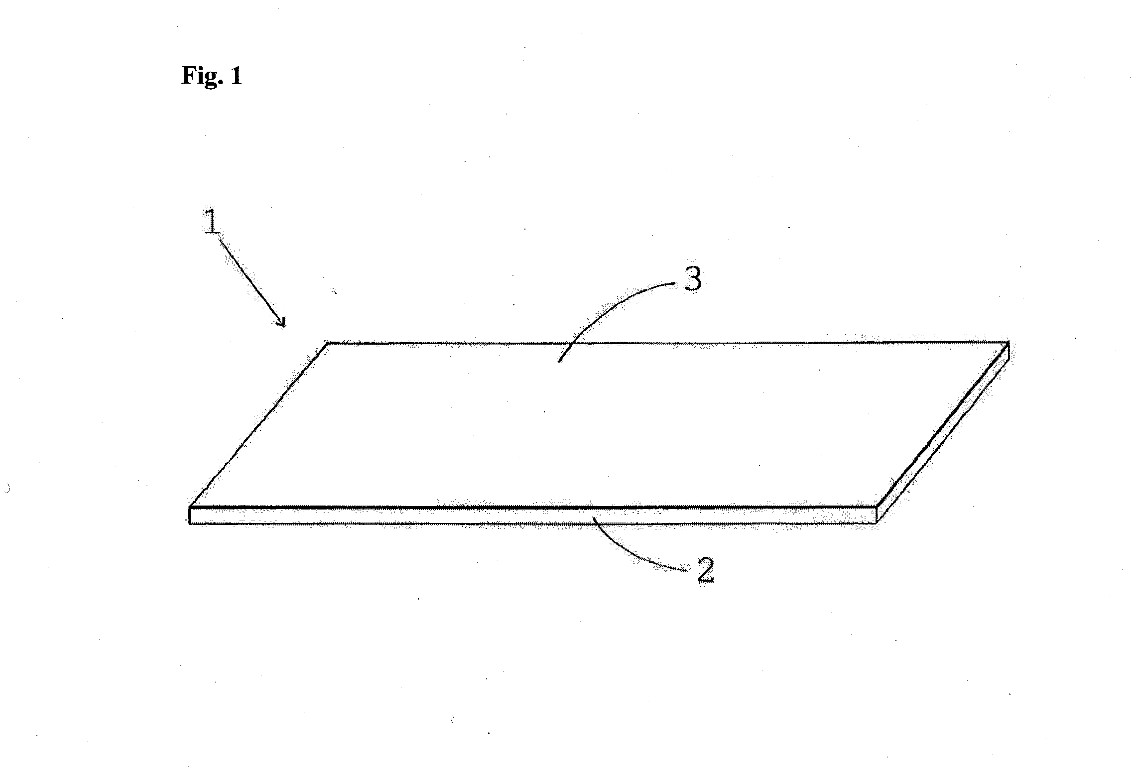 Coating and its manufacturing process