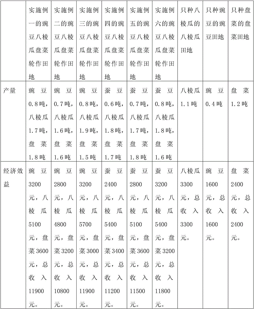 Crop rotation method of peas, luffa acutangula and turnips