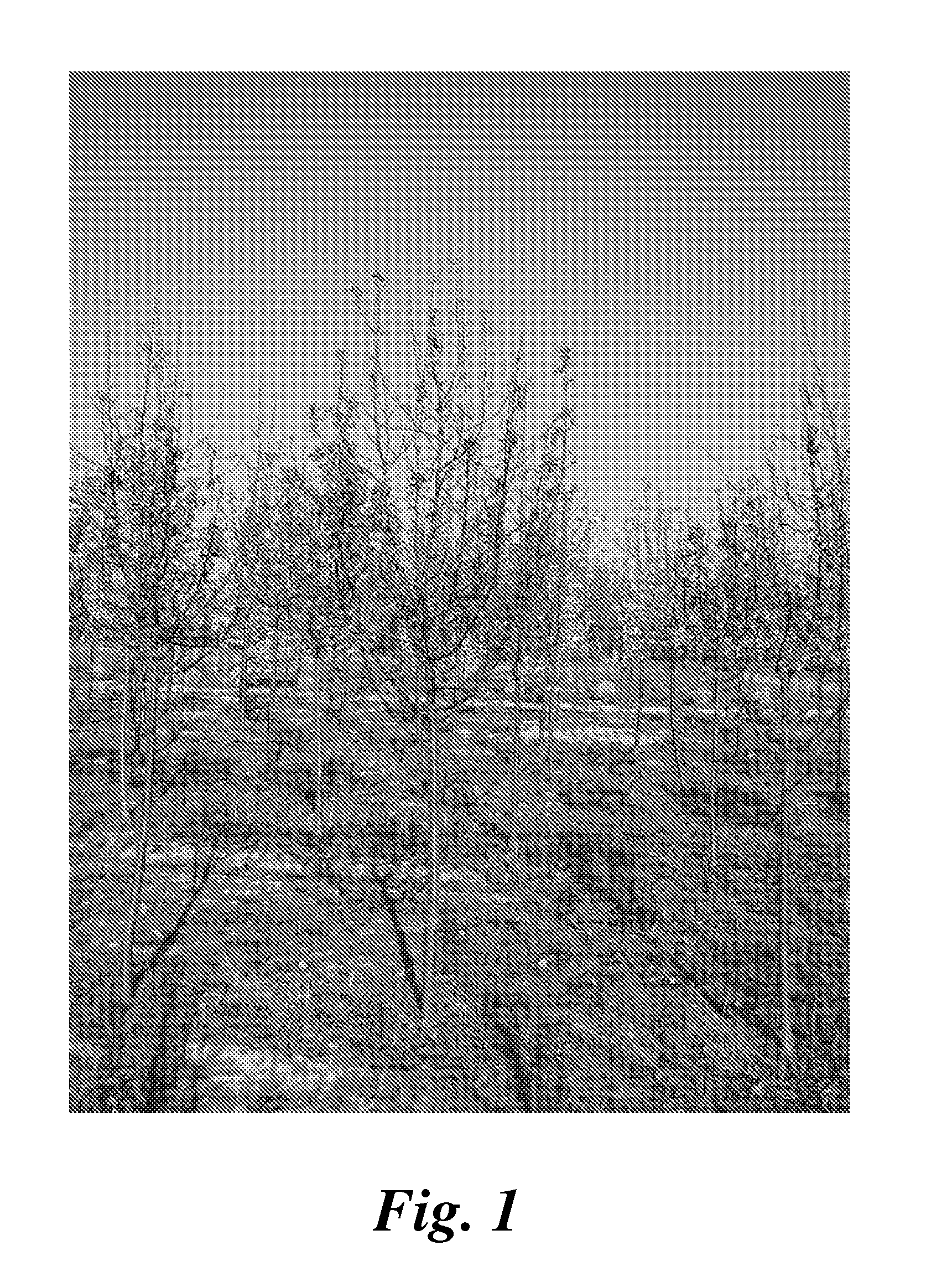 Formulation and method for treating plants to control or suppress a plant pathogen