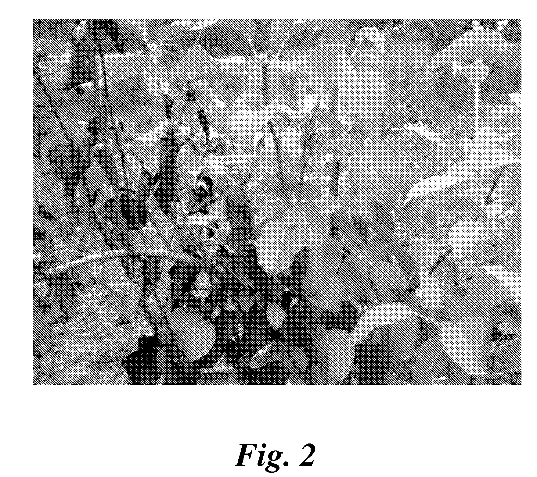 Formulation and method for treating plants to control or suppress a plant pathogen