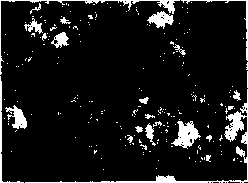 Bimetallic catalyst for degrading chlorine substitutional organic pollutant, preparation method and application