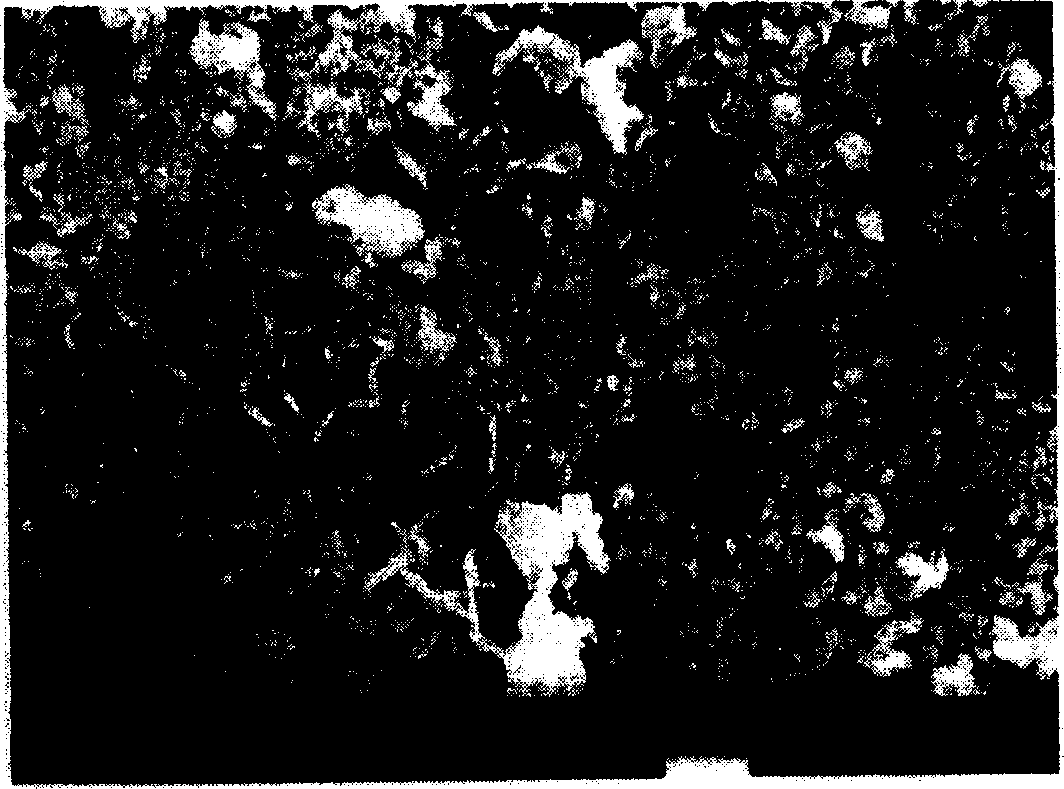 Bimetallic catalyst for degrading chlorine substitutional organic pollutant, preparation method and application