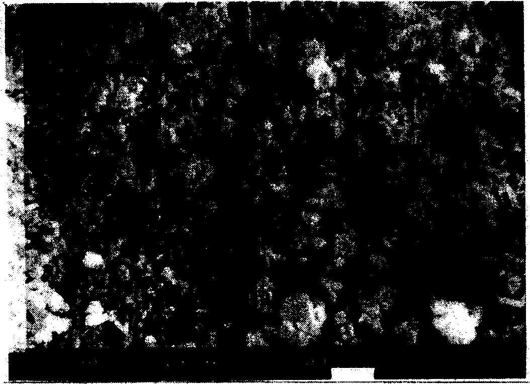 Bimetallic catalyst for degrading chlorine substitutional organic pollutant, preparation method and application