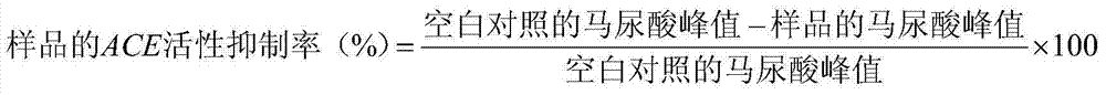 Cannabis protein peptide drink and preparation method thereof