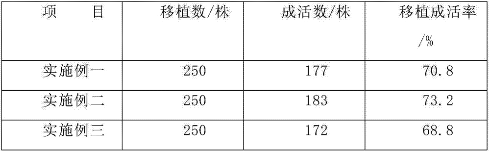 Seedling breeding method of seedlings of mangrove forest plant xylocarpus granatum