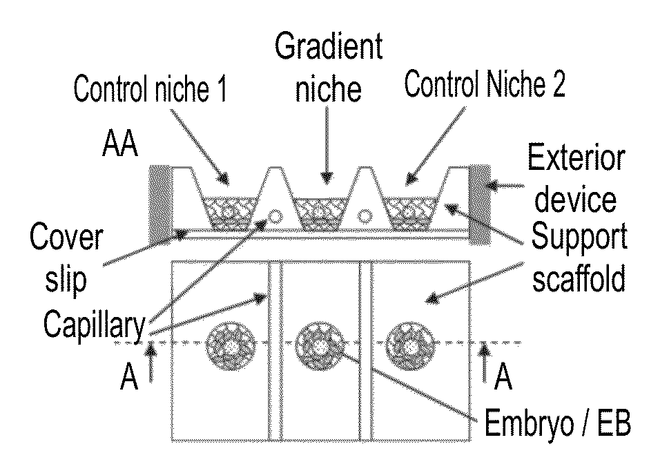 Niche system for biological culturing